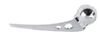 Austin Moore Femoral Head Standard Stem-Gamma Sterile